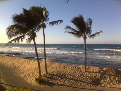 Hawaiian Beach